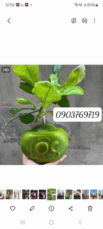 Bán nhà tôn 100m2 giá 1,568 tỷ hẻm Bình Giã Bình Tân