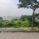 Bán đất thổ cư 100m2 (5x20) đường Huỳnh Bá Chánh, phường Tam Long (Long Tâm, Bà Rịa cũ) - Ảnh thu nhỏ 3