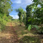 Bán lô đất rẫy đất đỏ 1,5 ha trồng cà phê, sầu riêng tại xã Ea Ral, Đắk Lắk - Ảnh thu nhỏ 2
