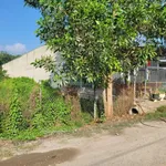 Bán đất 600m² đường nhựa gần KCN Phước Đông, Tây Ninh 2,3 tỷ - Ảnh thu nhỏ 3