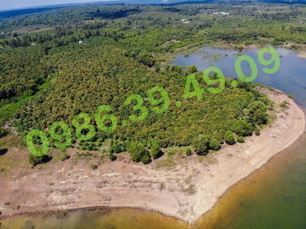 Bán đất vườn 16.500m² view Hồ Trị An, Vĩnh Cửu, Đồng Nai - Ảnh thu nhỏ 2