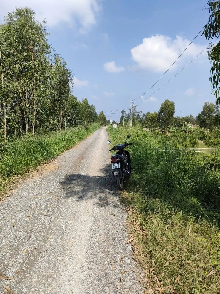 Bán đất vườn 1000m2 hai mặt tiền Đức Huệ, Tây Ninh - Ảnh thu nhỏ 3