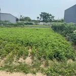 Bán đất 90 m² Nam Liên Nhà Bè, 2 tỷ - Ảnh thu nhỏ 4