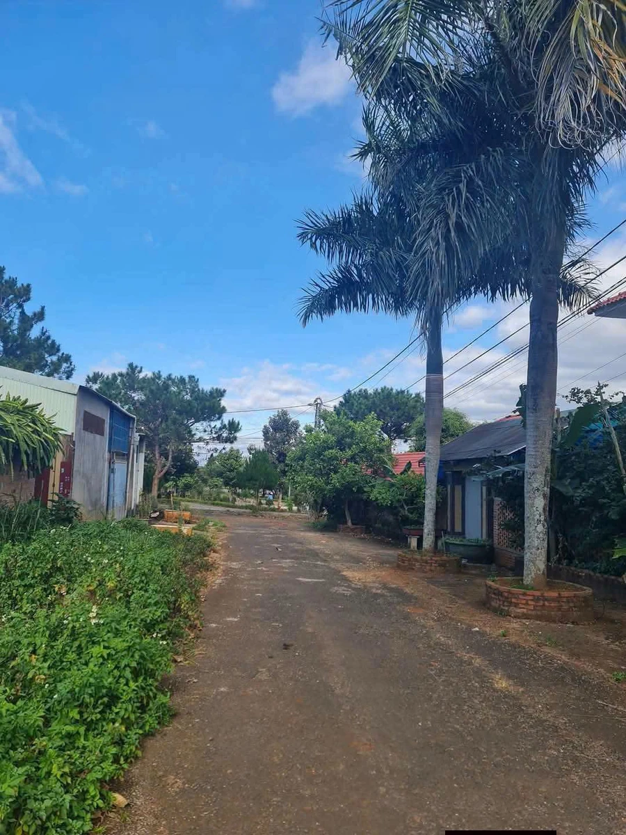 Bán đất mặt tiền Lê Thành Phương, Pleiku, Gia Lai, 184m² - Ảnh thu nhỏ 2