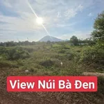 Bán đất 175m² đường 11-11, Tây Ninh, 290 triệu - Ảnh thu nhỏ 1