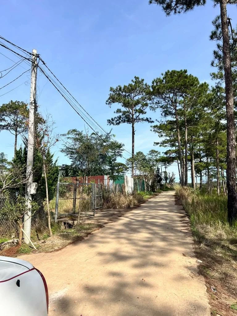 Bán lô đất 300m² Đà Lạt 700 triệu - Ảnh thu nhỏ 5