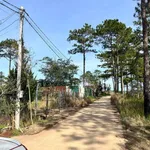 Bán lô đất 300m² Đà Lạt 700 triệu - Ảnh thu nhỏ 5