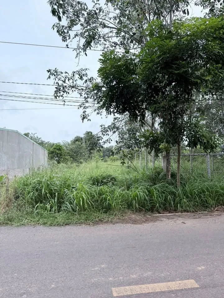 Bán đất Vĩnh Tân Nhựa Thông 60m2, 1.7 tỷ - Ảnh thu nhỏ 5