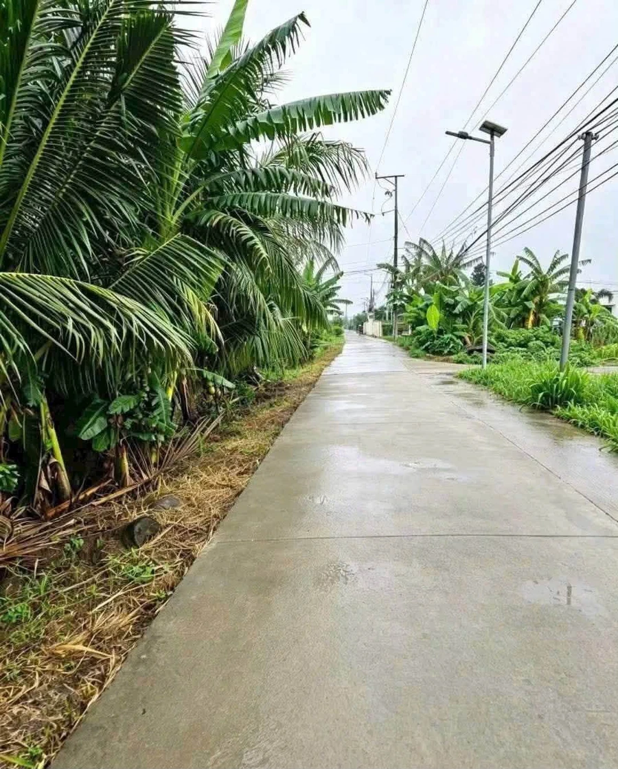 Bán đất 1500m² mặt tiền Long An, giá 750 triệu/1000m² - Ảnh 1