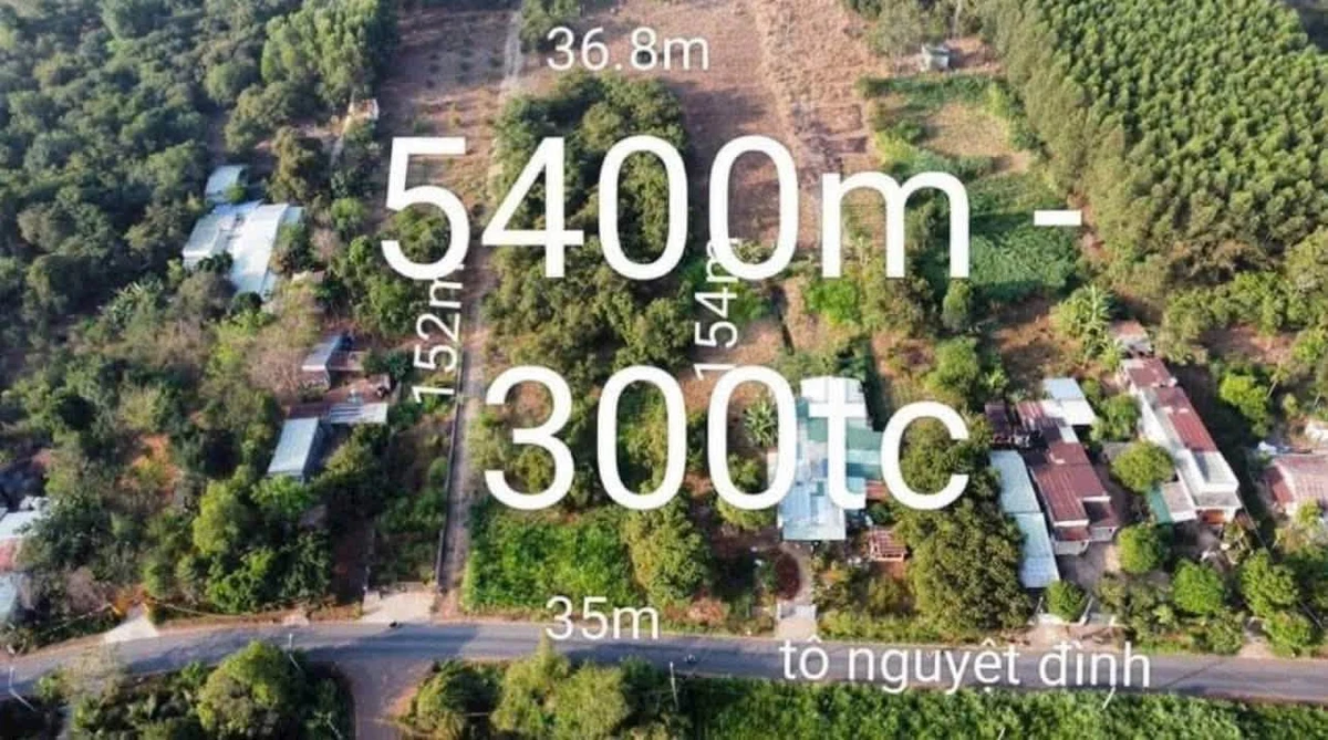 Bán 5400m² đất mặt tiền Tô Nguyệt Định, Tân Thành - Ảnh thu nhỏ 2