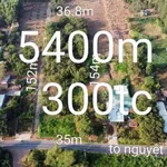 Bán 5400m² đất mặt tiền Tô Nguyệt Định, Tân Thành - Ảnh thu nhỏ 2
