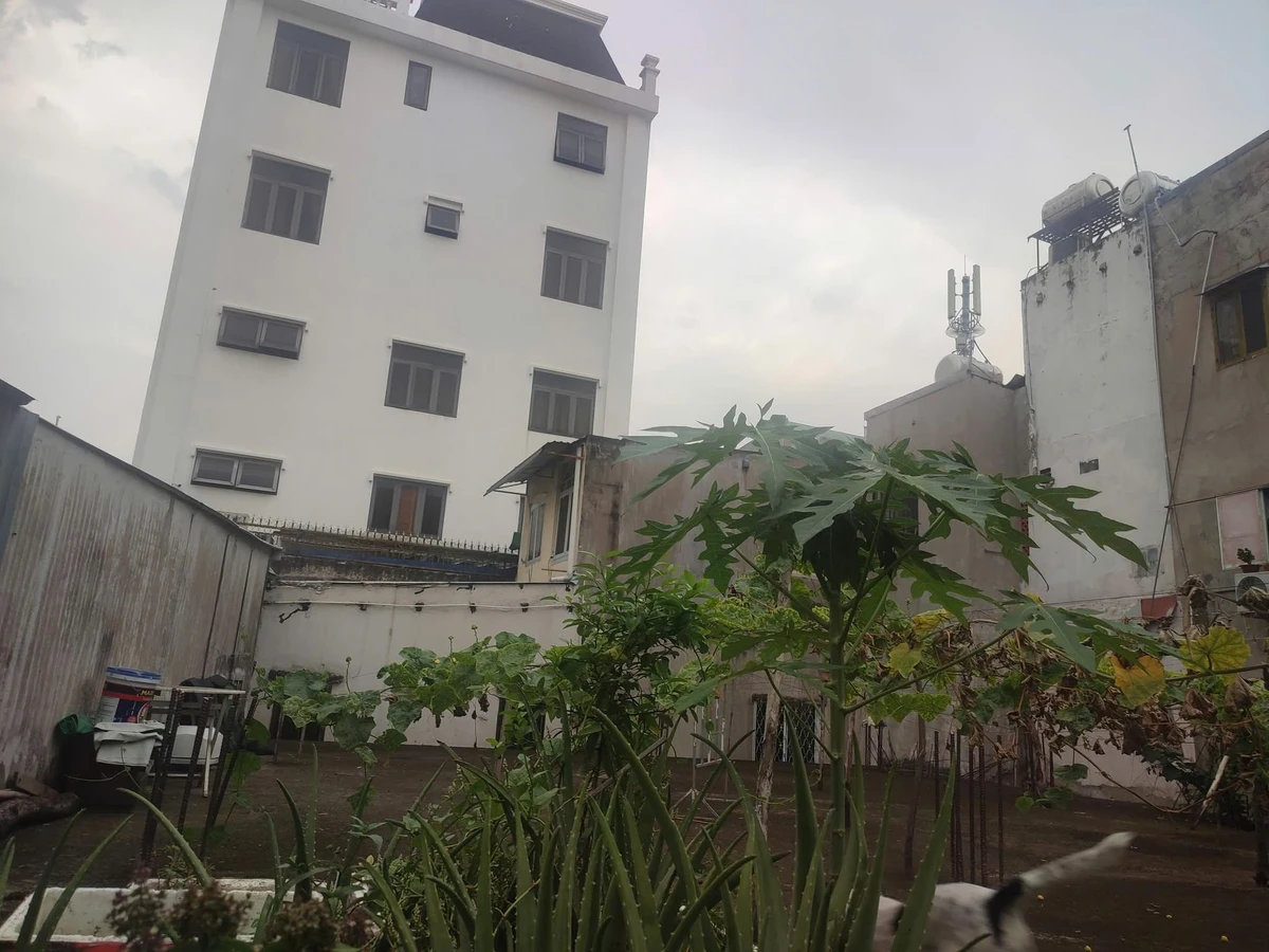 Bán đất hẻm Chu Văn An, Bình Thạnh, 240m², 22 tỷ - Ảnh thu nhỏ 2