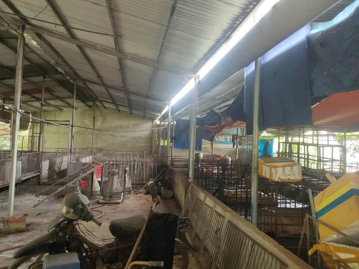 Bán nhà và trại 1000m2 ở Trảng Bom, 3 PN, 1 tỷ 8 - Ảnh thu nhỏ 2