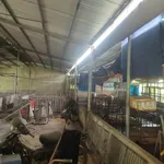Bán nhà và trại 1000m2 ở Trảng Bom, 3 PN, 1 tỷ 8 - Ảnh thu nhỏ 2