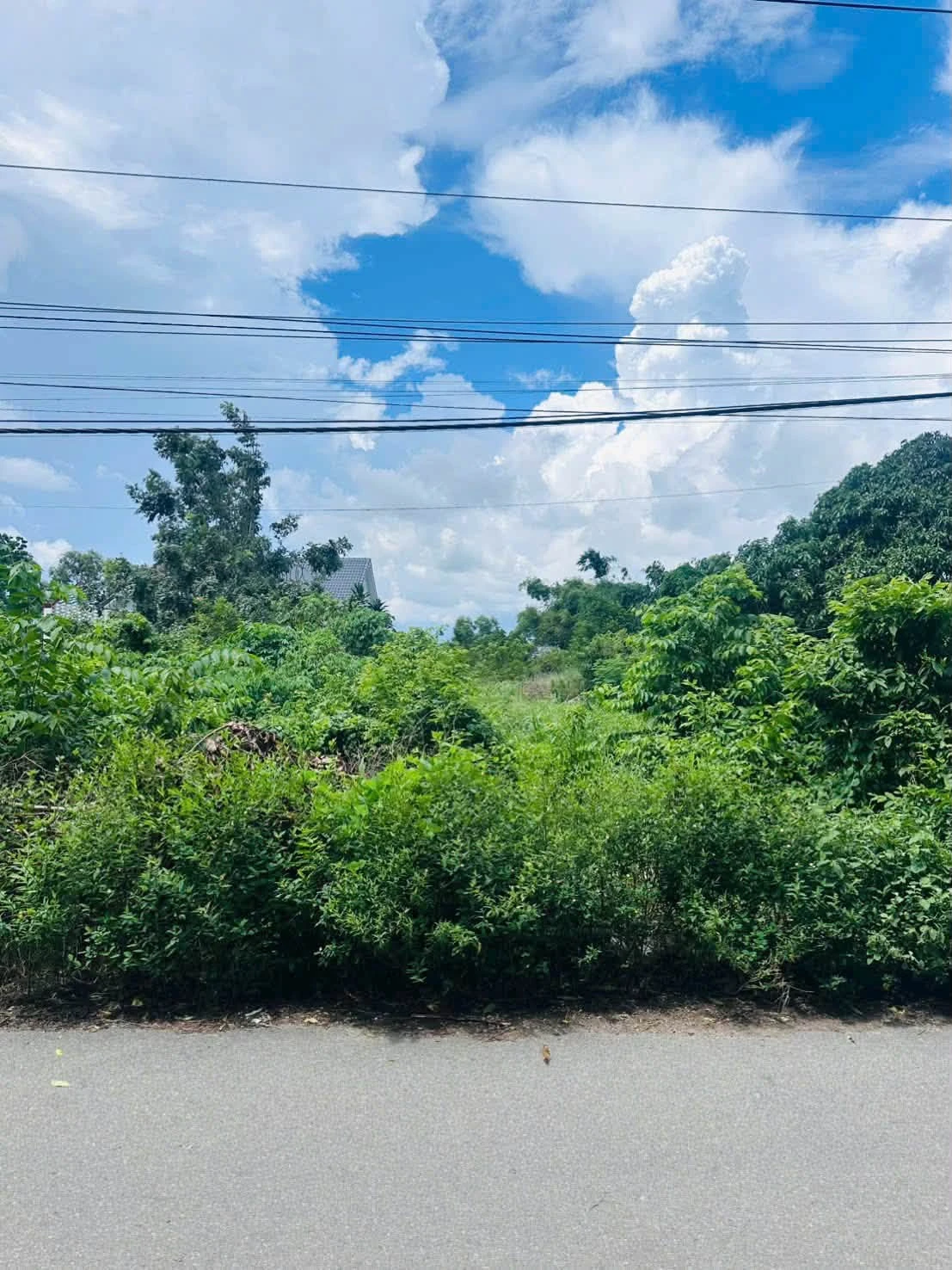 Bán đất 1413m2 Nhà Bè gần Võ Văn Kiệt, 2 tỷ - Ảnh 1