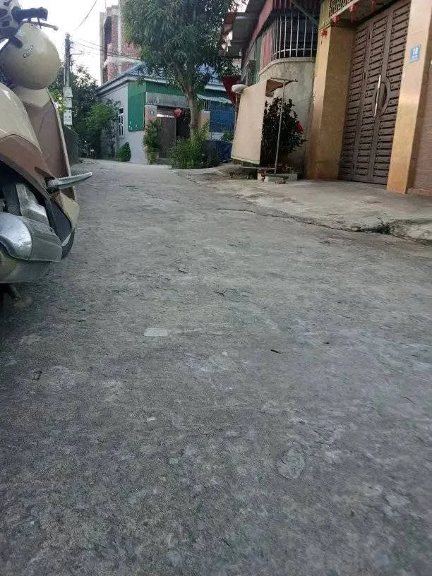 Bán lô đất 132m² đường Nhân Nghĩa, Hồ Chí Minh - Ảnh 1