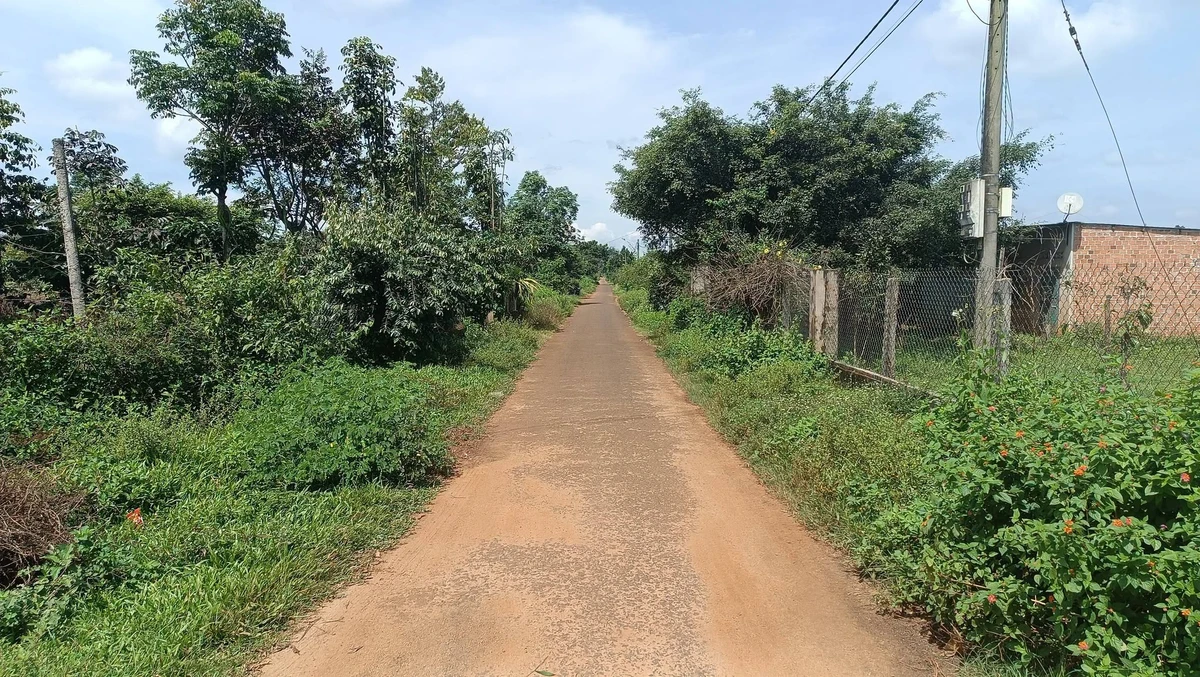Bán đất hẻm Đào Duy Từ 125m², dưới 400 triệu - Ảnh thu nhỏ 5