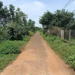 Bán đất hẻm Đào Duy Từ 125m², dưới 400 triệu - Ảnh thu nhỏ 5