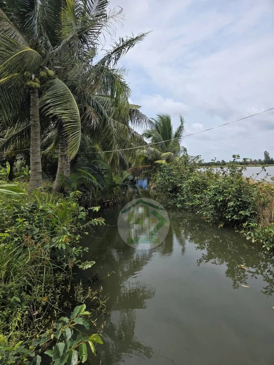 Bán đất lúa tôm 9.773 m² thị trấn Phước Long, Cà Mau - Ảnh thu nhỏ 3