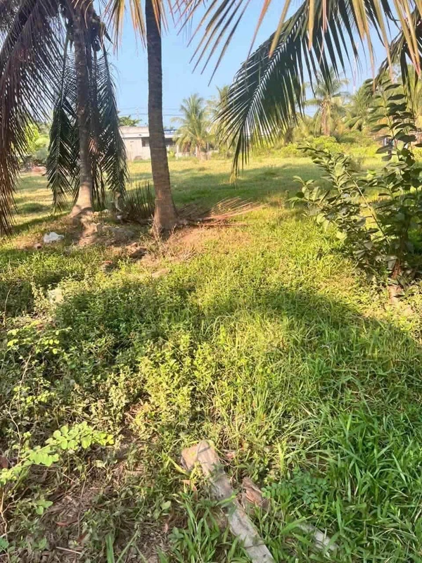 Bán đất nền 10×47m, 600 triệu ở Vĩnh Long