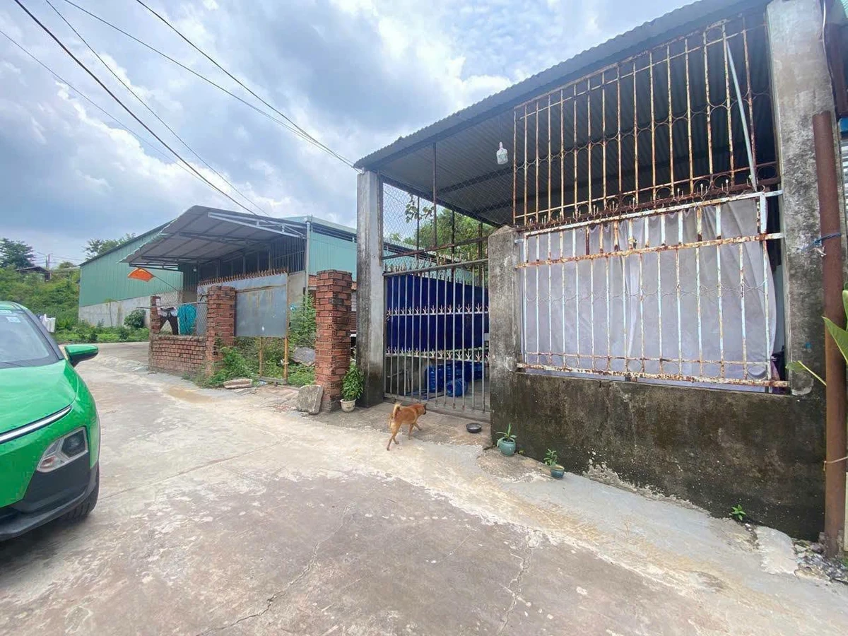 Bán nhà cấp 4 và 5 phòng trọ 543m2 Trảng Bom 2,5 tỷ - Ảnh thu nhỏ 2