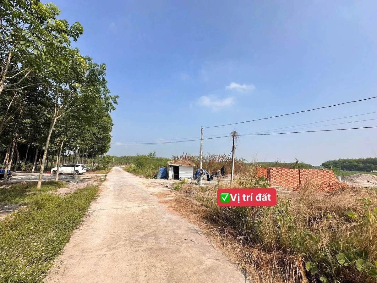 Bán đất 5x65x50 tại Bình Chánh gần Phúc Hưng - Ảnh thu nhỏ 2