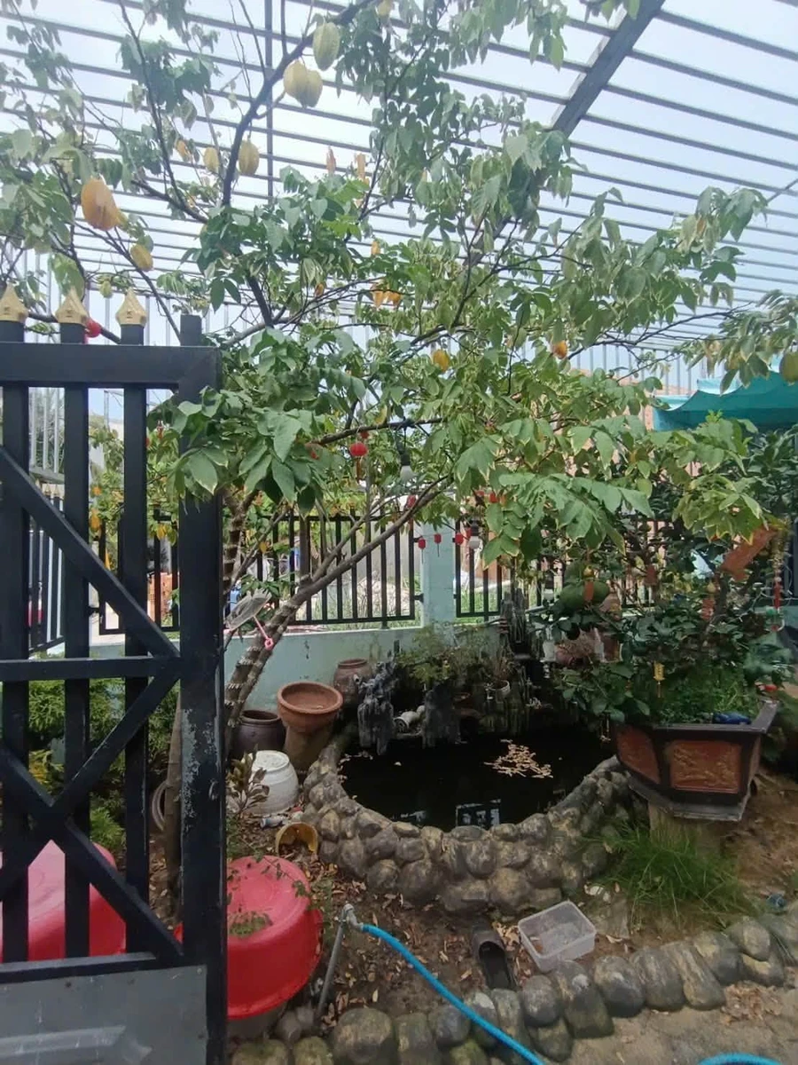 Bán nhà 2 phòng ngủ 150m² đường Hùng Vương 820 triệu - Ảnh 1