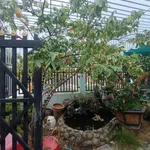 Bán nhà 2 phòng ngủ 150m² đường Hùng Vương 820 triệu - Ảnh thu nhỏ 1