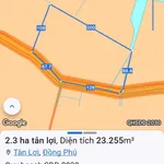 Bán đất cao su 2.3 ha mặt tiền 100m Tân Lợi Đồng Nai - Ảnh thu nhỏ 2