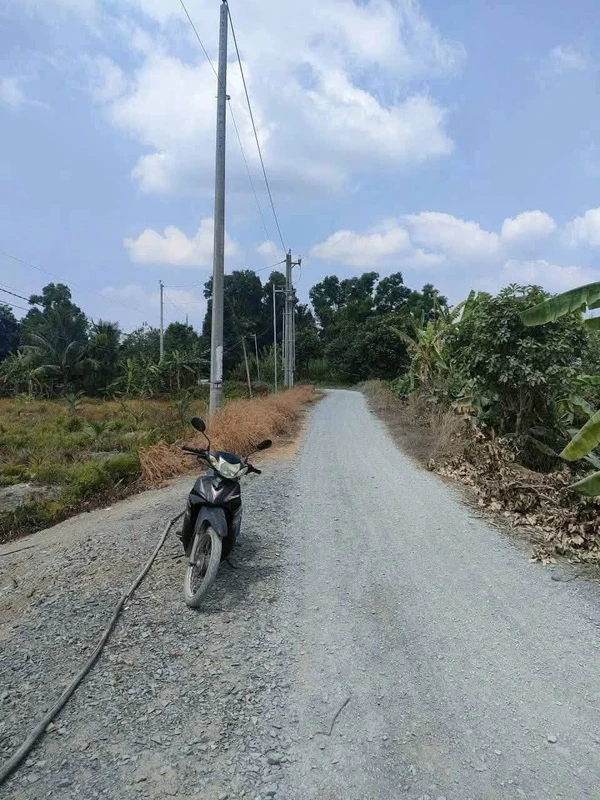 Bán đất thổ vườn mặt tiền sông Vàm Cỏ Đông, 2.363m2, giá 4 tỷ, xã Thạnh Lợi, Tây Ninh