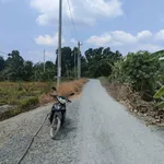 Bán đất thổ vườn mặt tiền sông Vàm Cỏ Đông, 2.363m2, giá 4 tỷ, xã Thạnh Lợi, Tây Ninh - Ảnh thu nhỏ 1