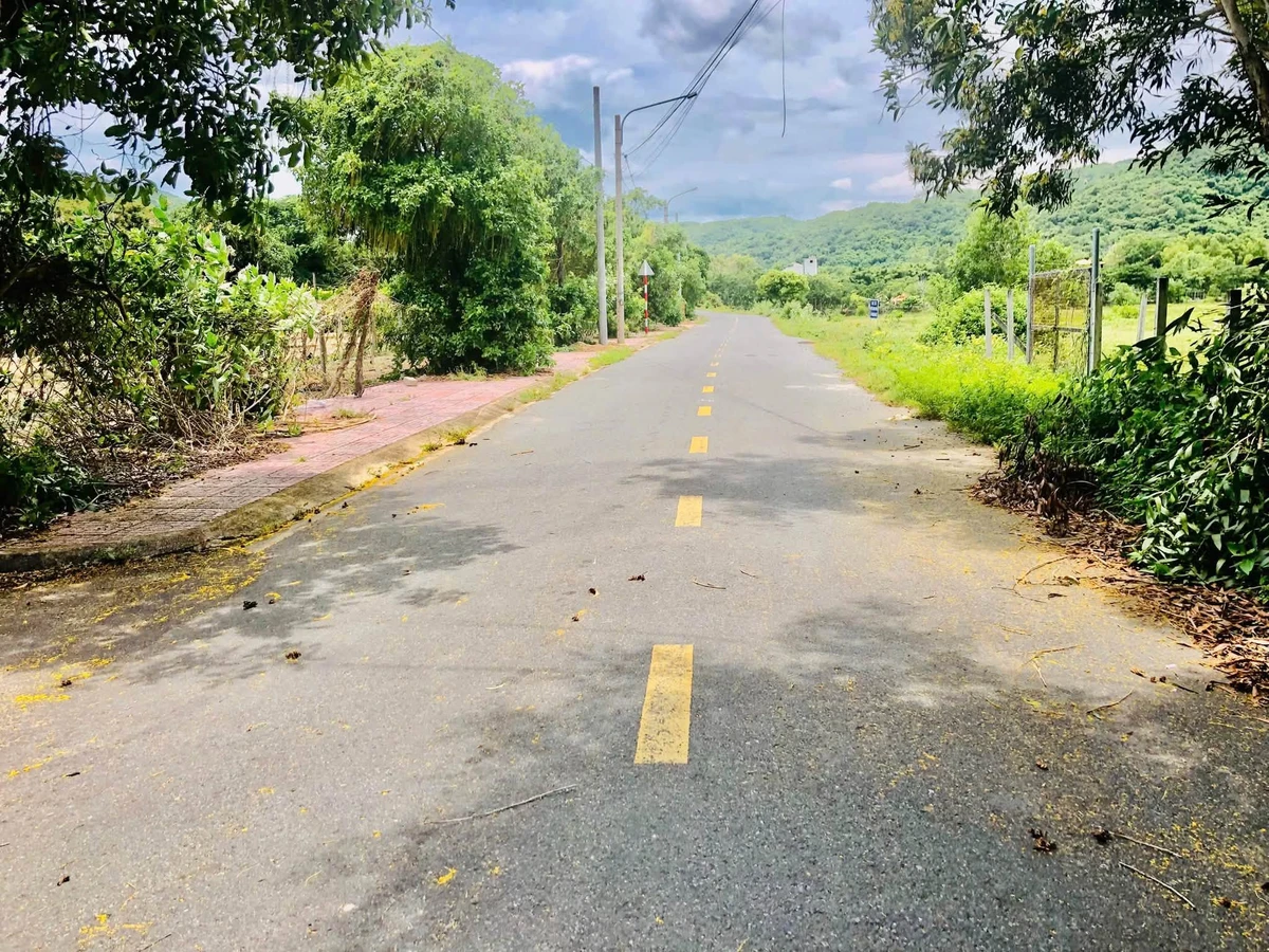 Bán đất nhà vườn 293.8m2 Phước Hải, cách biển 3km, 2 tỷ 3 - Ảnh thu nhỏ 4