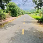 Bán đất nhà vườn 293.8m2 Phước Hải, cách biển 3km, 2 tỷ 3 - Ảnh thu nhỏ 4