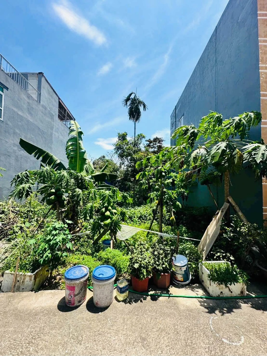 Bán lô đất 57,5m² mặt tiền 5m Hải Phòng 1,5 tỷ - Ảnh thu nhỏ 4