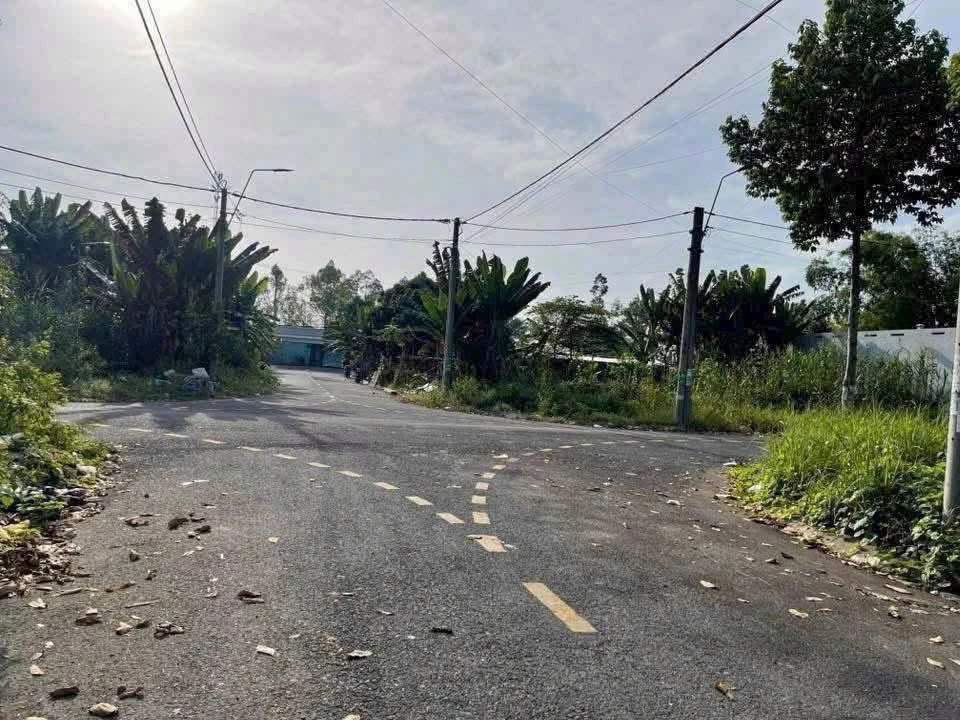 Bán đất nền mặt tiền Nguyễn Thái Bình 100m2, 830 triệu, Lấp Vò, Đồng Tháp - Ảnh thu nhỏ 2