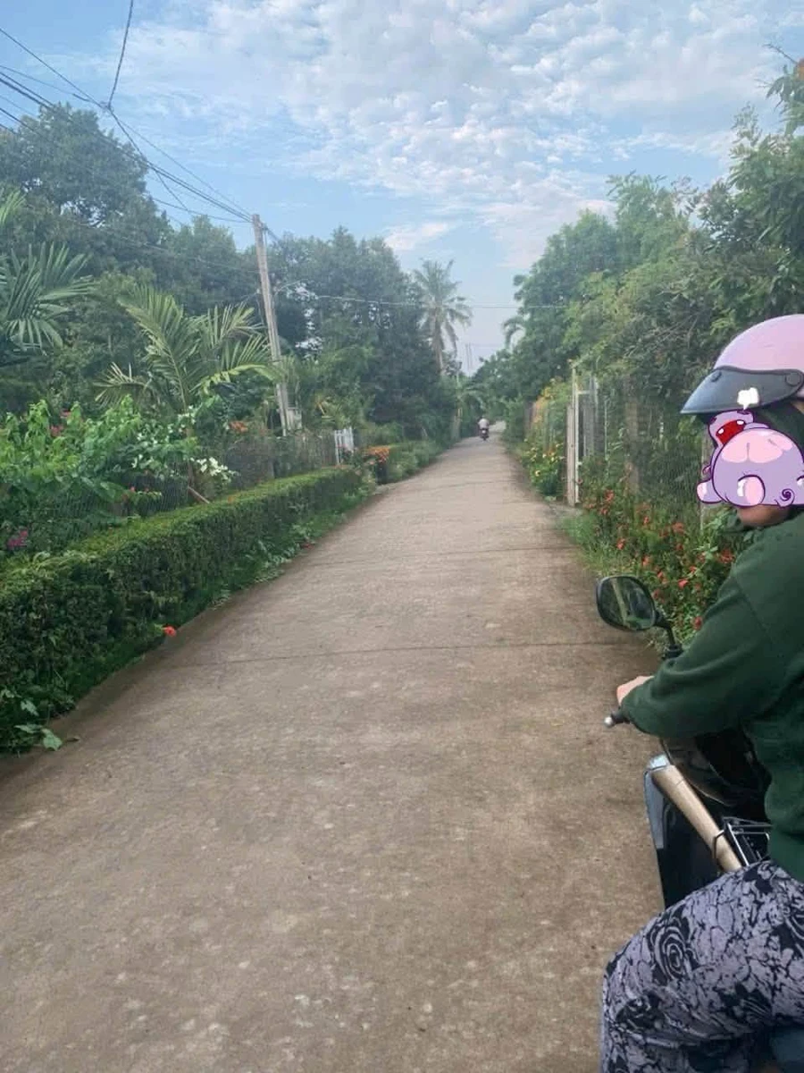 Bán đất vườn sầu riêng 2 công Quới Thành 1,2 tỷ - Ảnh 1