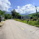Bán đất Khánh Đông 934m2 giá 699 triệu - Ảnh thu nhỏ 3