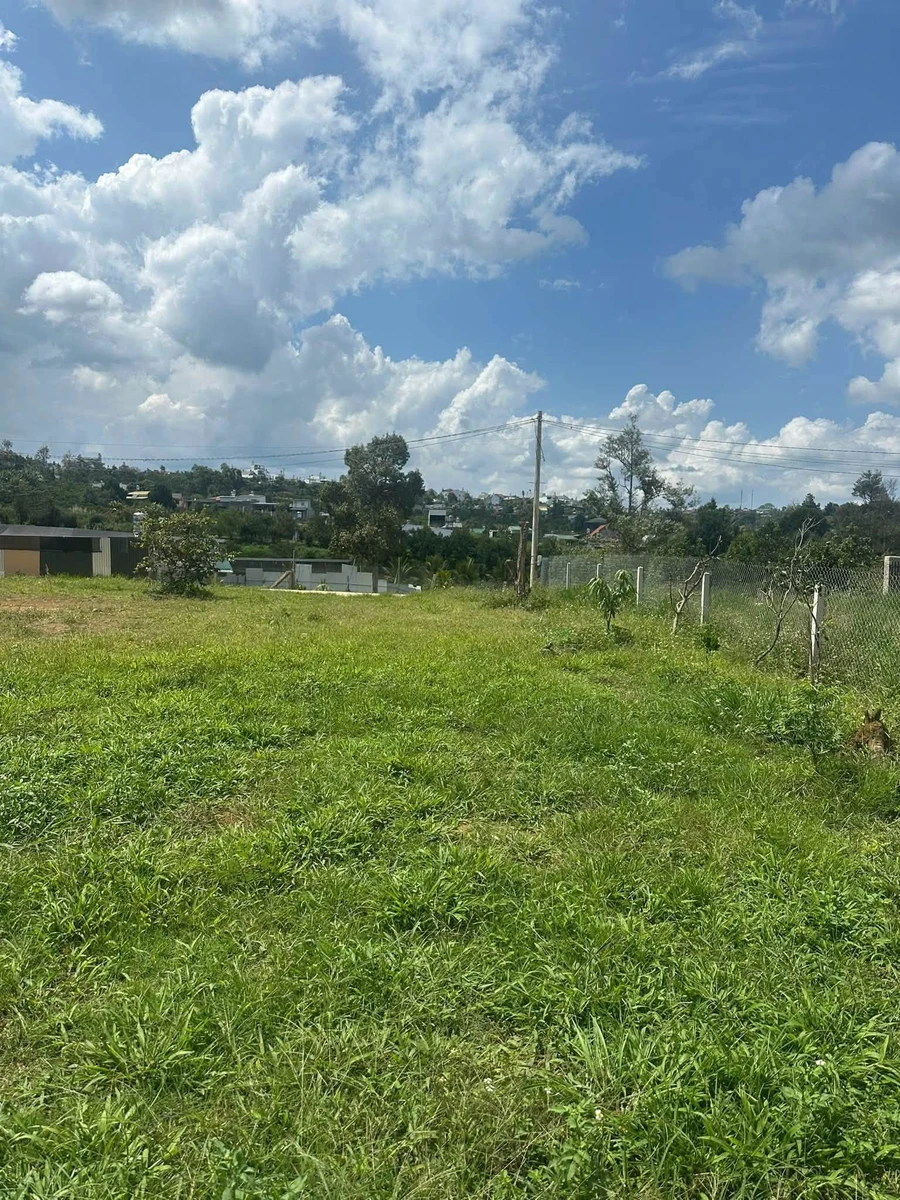 Bán đất Lộc Sơn 1.000m² giá 3,5 tỷ - Ảnh thu nhỏ 4