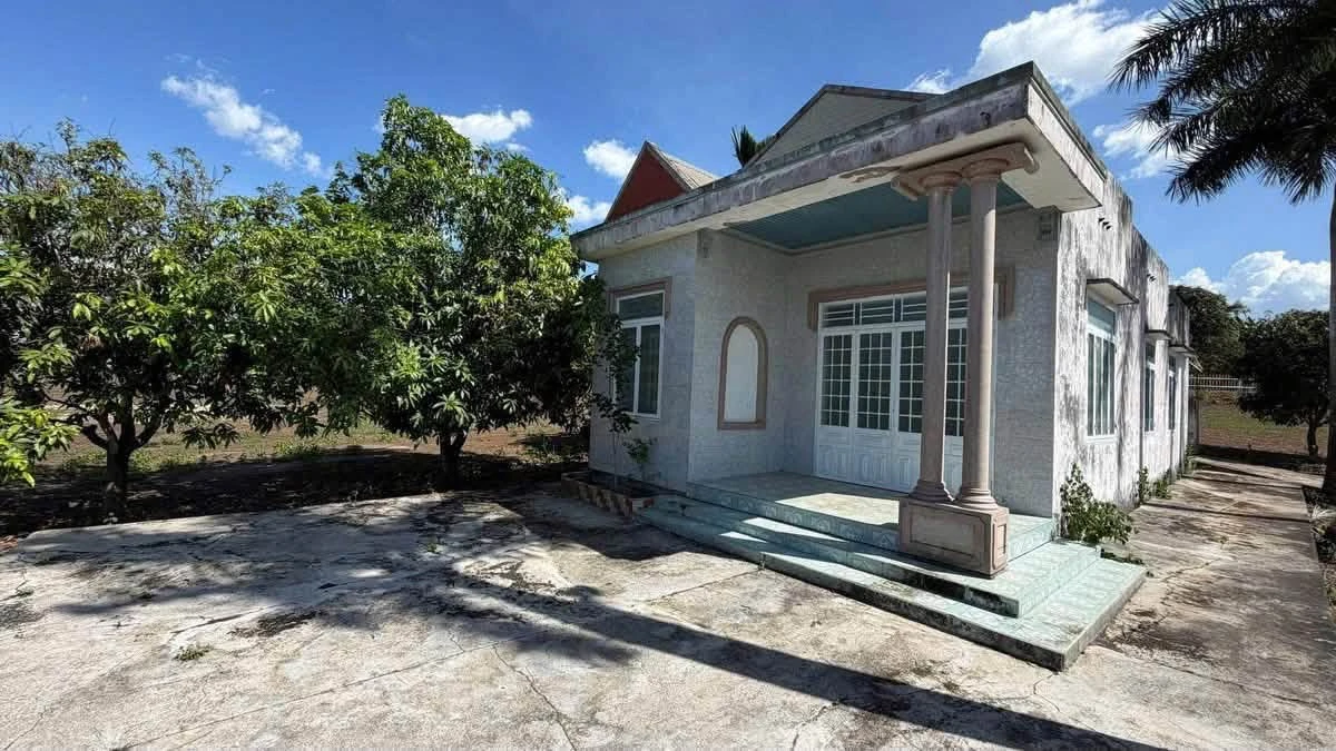Bán đất vườn 21.810m2 có 300m2 thổ cư, view núi Chứa Chan, Xuân Lộc, Đồng Nai - Ảnh thu nhỏ 4