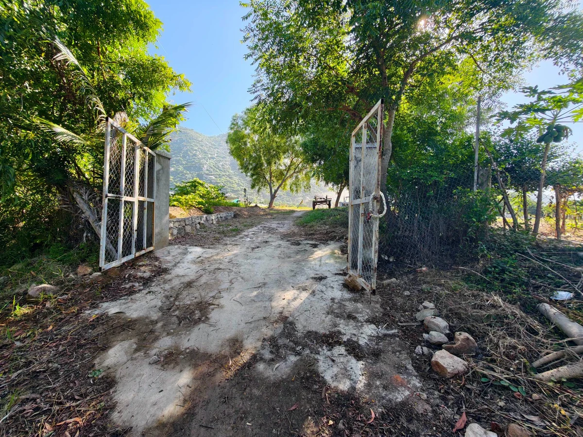 Bán 9.170m² đất nông nghiệp Khánh Tân, Ninh Thuận 4 tỷ - Ảnh thu nhỏ 3