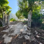 Bán 9.170m² đất nông nghiệp Khánh Tân, Ninh Thuận 4 tỷ - Ảnh thu nhỏ 3