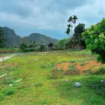 Bán đất vườn 1.002m² Kim Bôi Hòa Bình 1,25 tỷ - Ảnh thu nhỏ 2