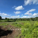 Bán 160m2 đất thổ cư Đá Bạc, mặt tiền 15m - Ảnh thu nhỏ 3