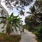 Bán đất mặt tiền 787m² Hữu Định, Phú Tân, Bến Tre - Ảnh thu nhỏ 5