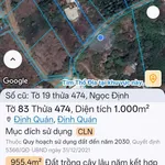 Bán đất mặt tiền 1000m² tại Định Quán, Đồng Nai - Ảnh thu nhỏ 3