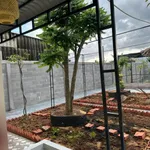 Bán nhà vườn 450m² 2 phòng ngủ Bình Lục Tây Ninh 2 tỷ 290 triệu - Ảnh thu nhỏ 5