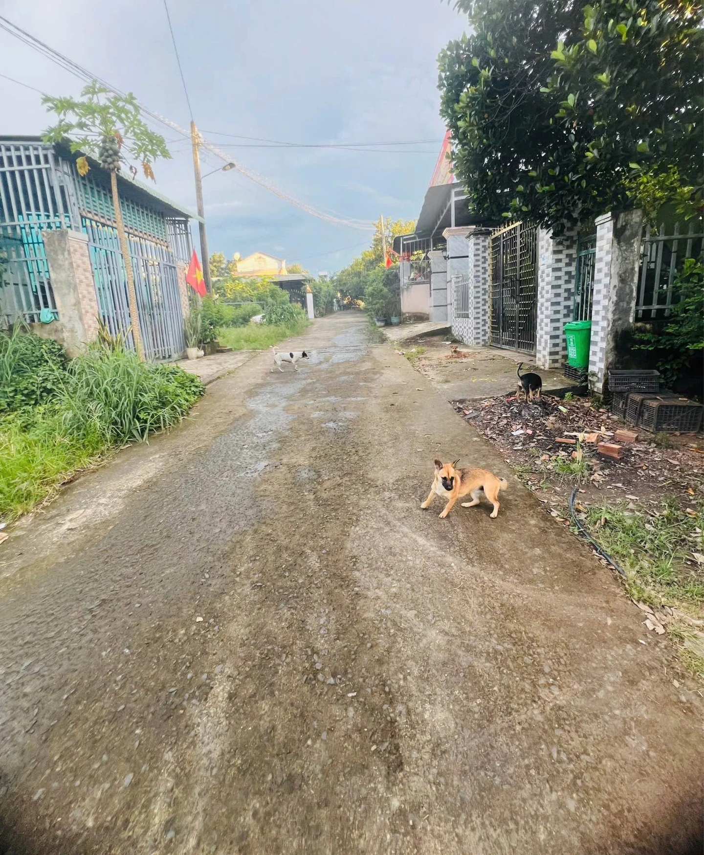 Bán đất Tân Xuân 280m², gần đường Nguyễn Huệ - Ảnh 1