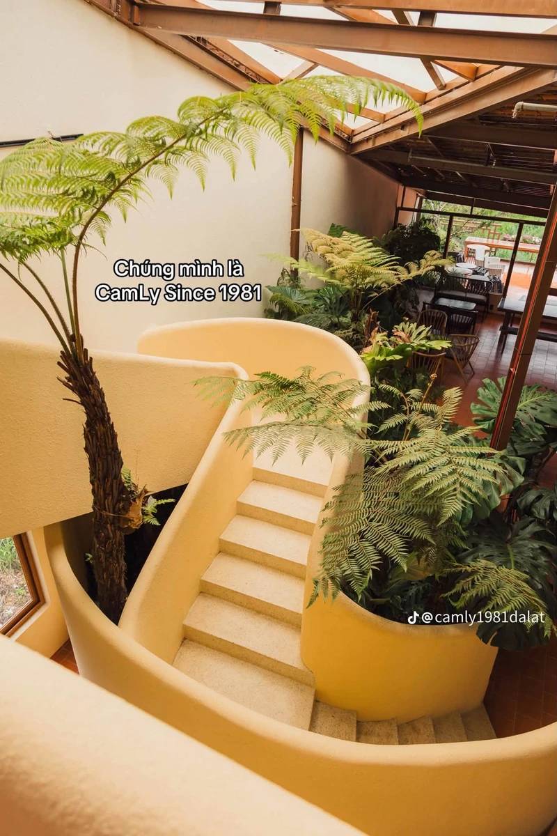 Bán khách sạn 35 phòng 600m2 Hoàng Văn Thụ 28 tỷ - Ảnh thu nhỏ 2