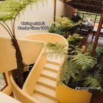 Bán khách sạn 35 phòng 600m2 Hoàng Văn Thụ 28 tỷ - Ảnh thu nhỏ 2