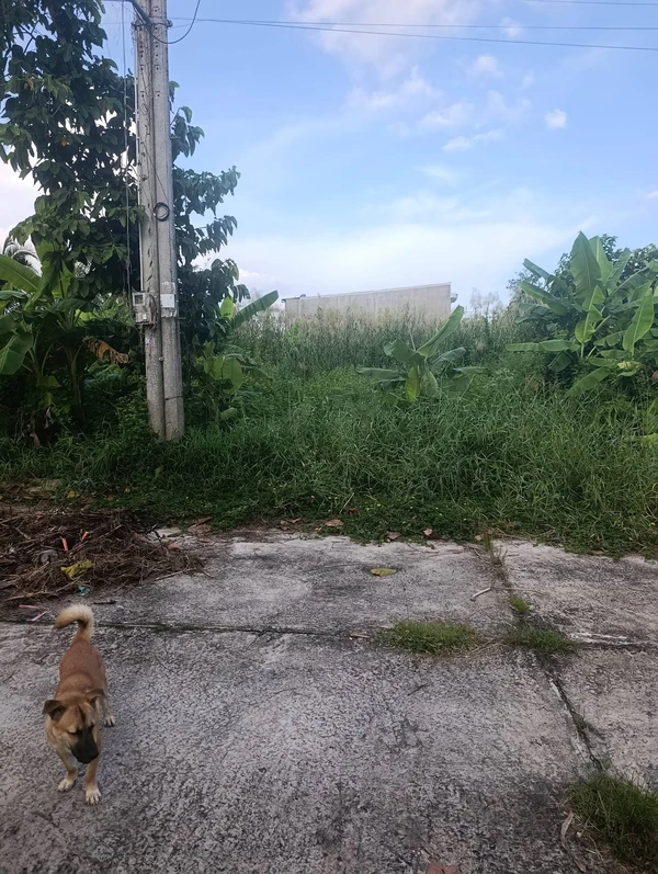 Bán nền đất 80 m² Rạch Giá, Kiên Giang